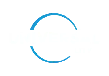 Universal Reality